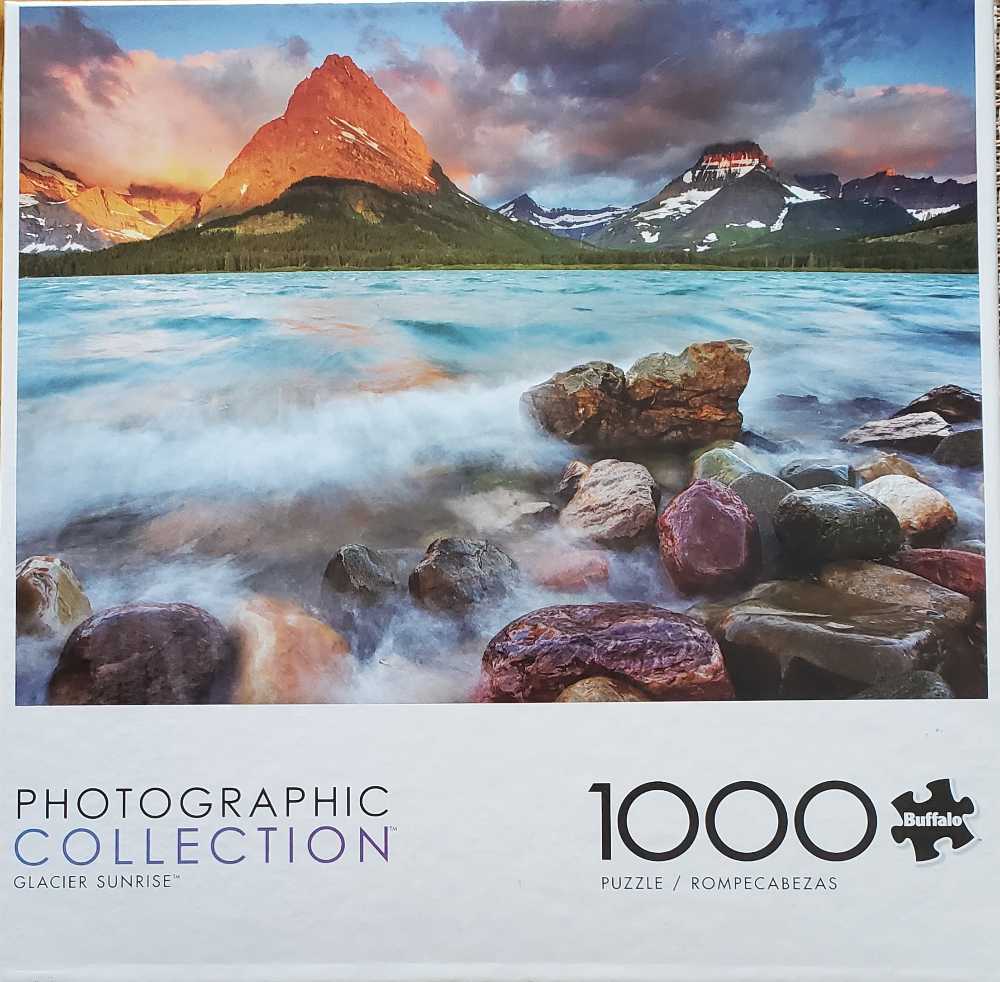 Harry Potter Quidditch Cup