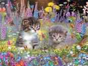 Lupine Lunacy | Jigsaw Puzzle Happiness Delivered