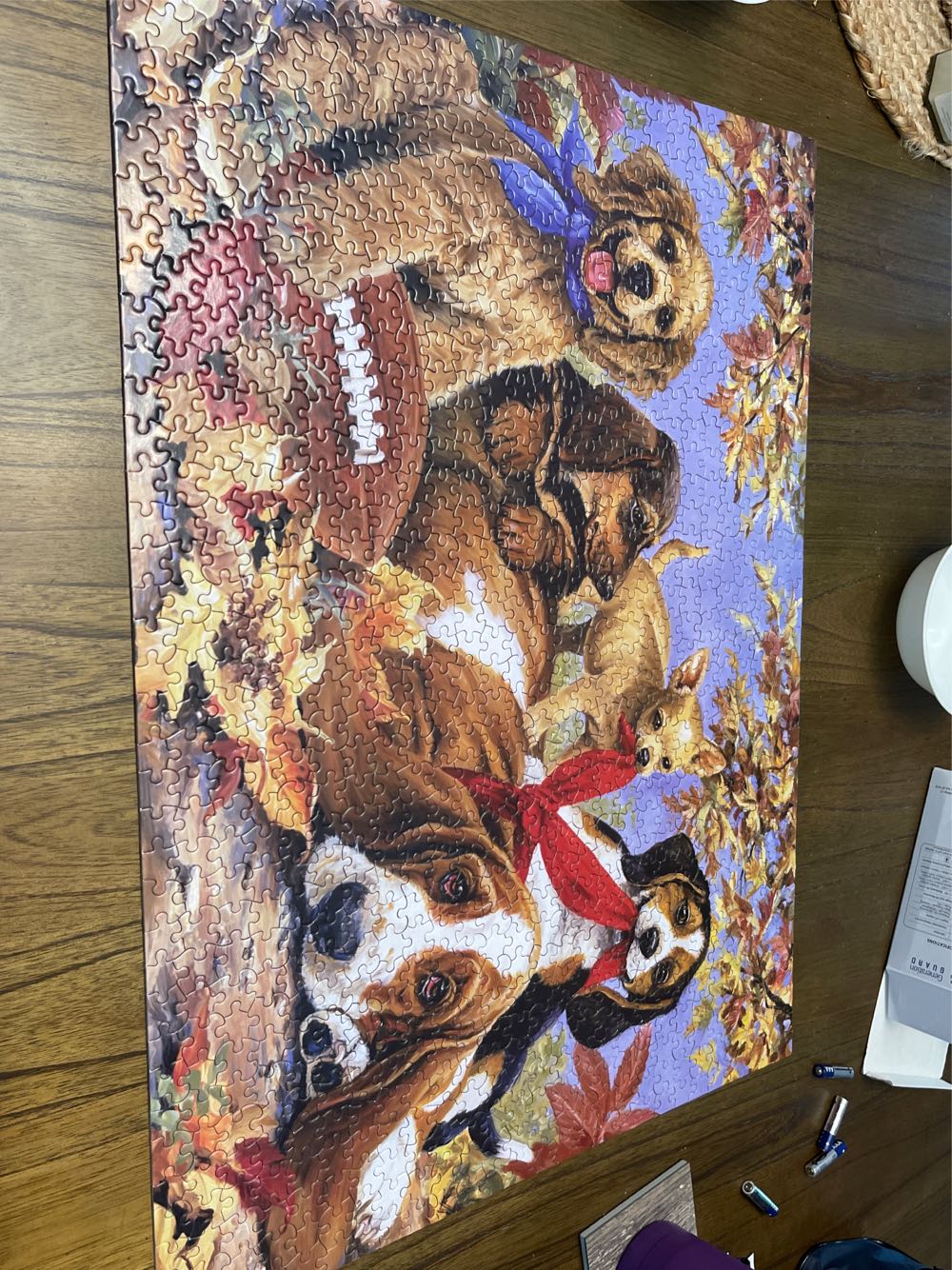 What If 1 Money Grew On Trees