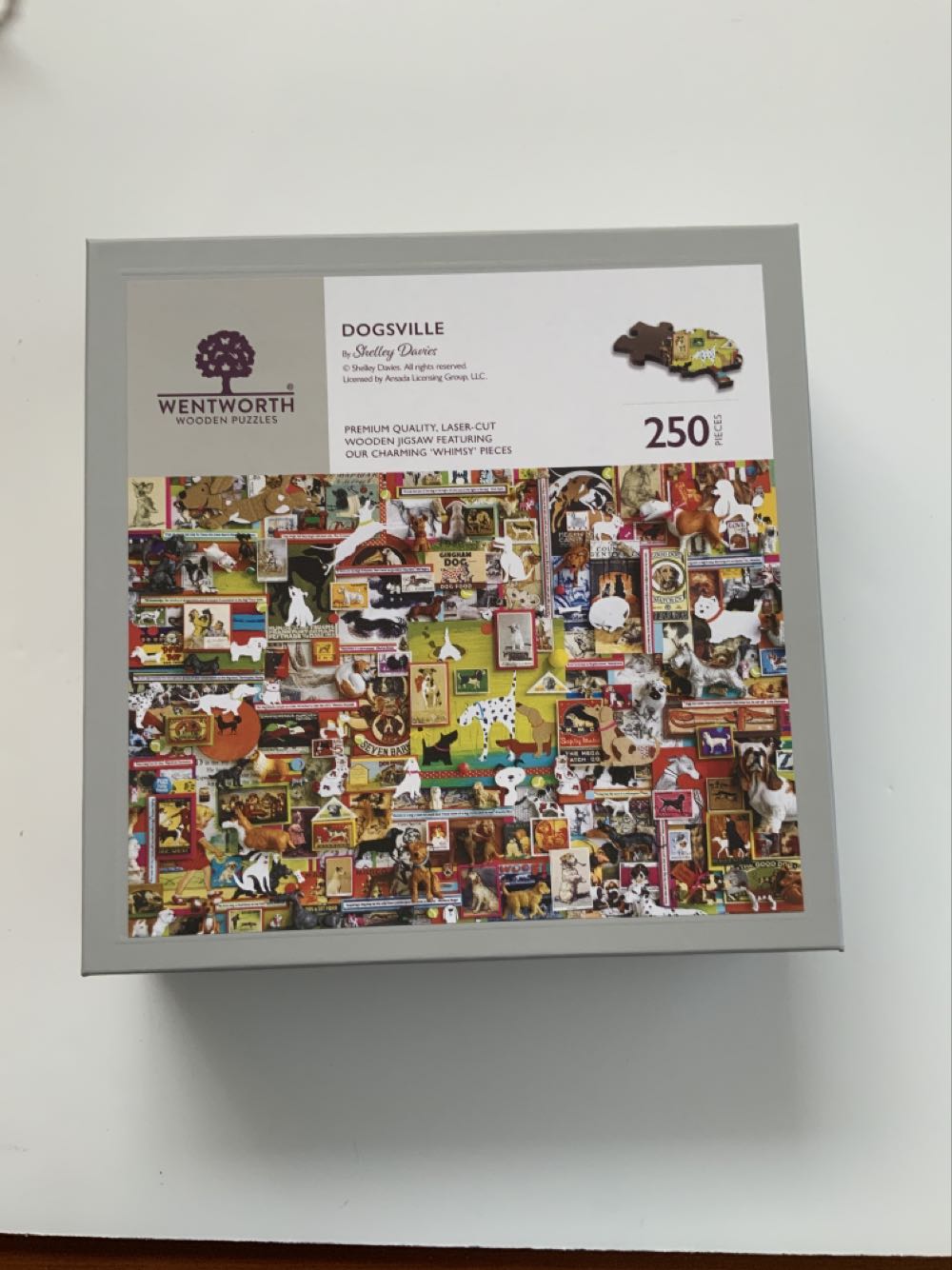 Kittens And Butterflies