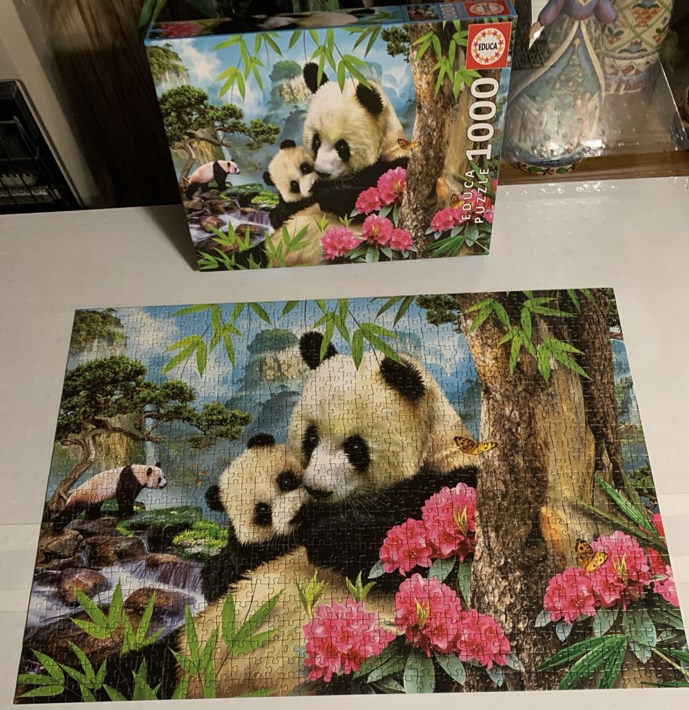 Morning Panda - Educa puzzle collectible [Barcode 8412668179950] - Main Image 2