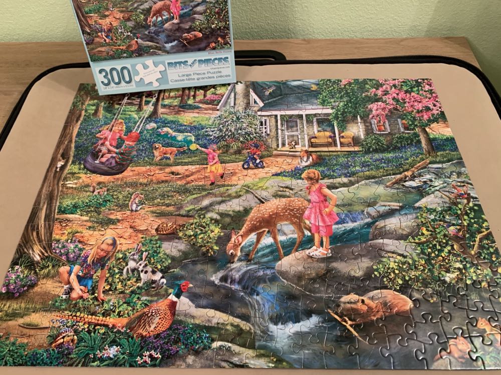 The Barnstormer  N/A