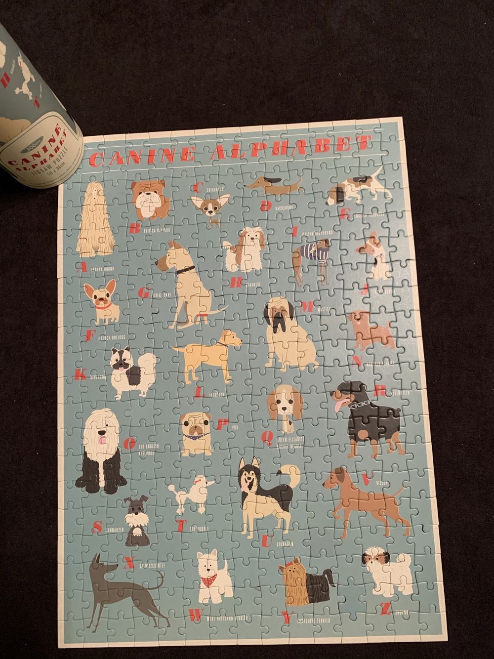 Banned Books Adam Fishman 