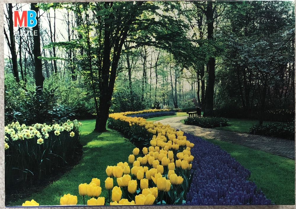 Breakfast For The Birds