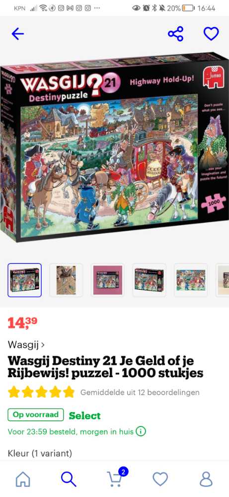 Breakfast For The Birds