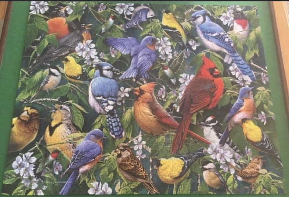 Birds & Blossoms - White Mountain Puzzles puzzle collectible [Barcode 724819258116] - Main Image 2