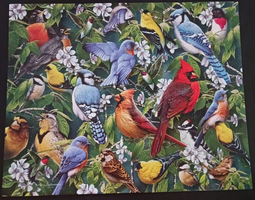 Birds & Blossoms - White Mountain Puzzles puzzle collectible [Barcode 724819258116] - Main Image 4