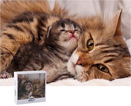 Asterix: Domain Of The Gods 🟦 Panorama