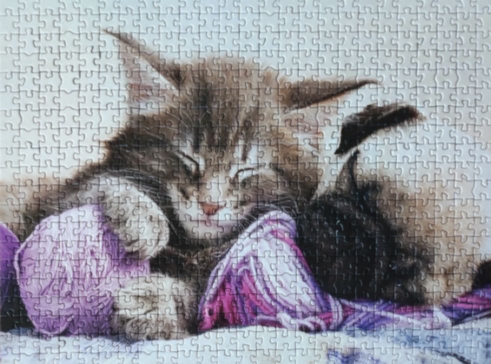 Dream Companions 🟦 - Educa puzzle collectible [Barcode 8412668176447] - Main Image 3