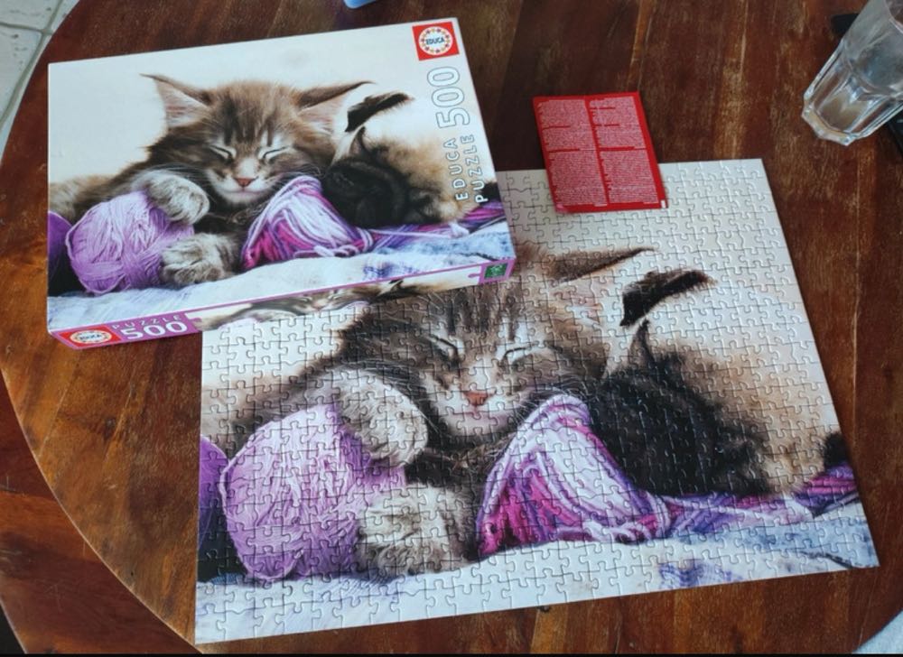 Dream Companions 🟦 - Educa puzzle collectible [Barcode 8412668176447] - Main Image 4