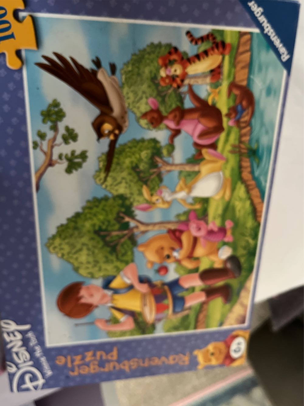 Eevee Evolutions Frames