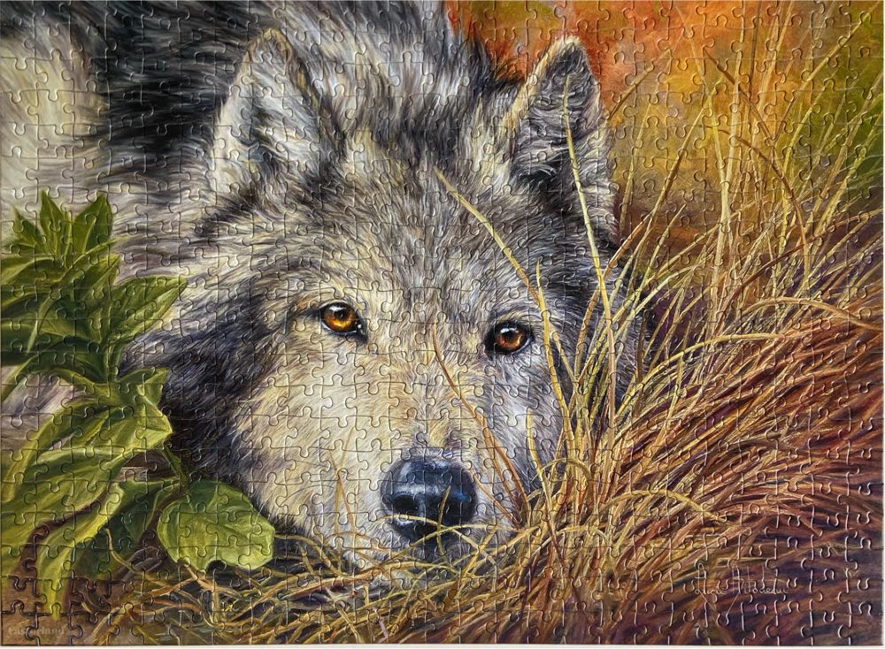 Pure Soul - Castorland puzzle collectible [Barcode 5904438053285] - Main Image 2