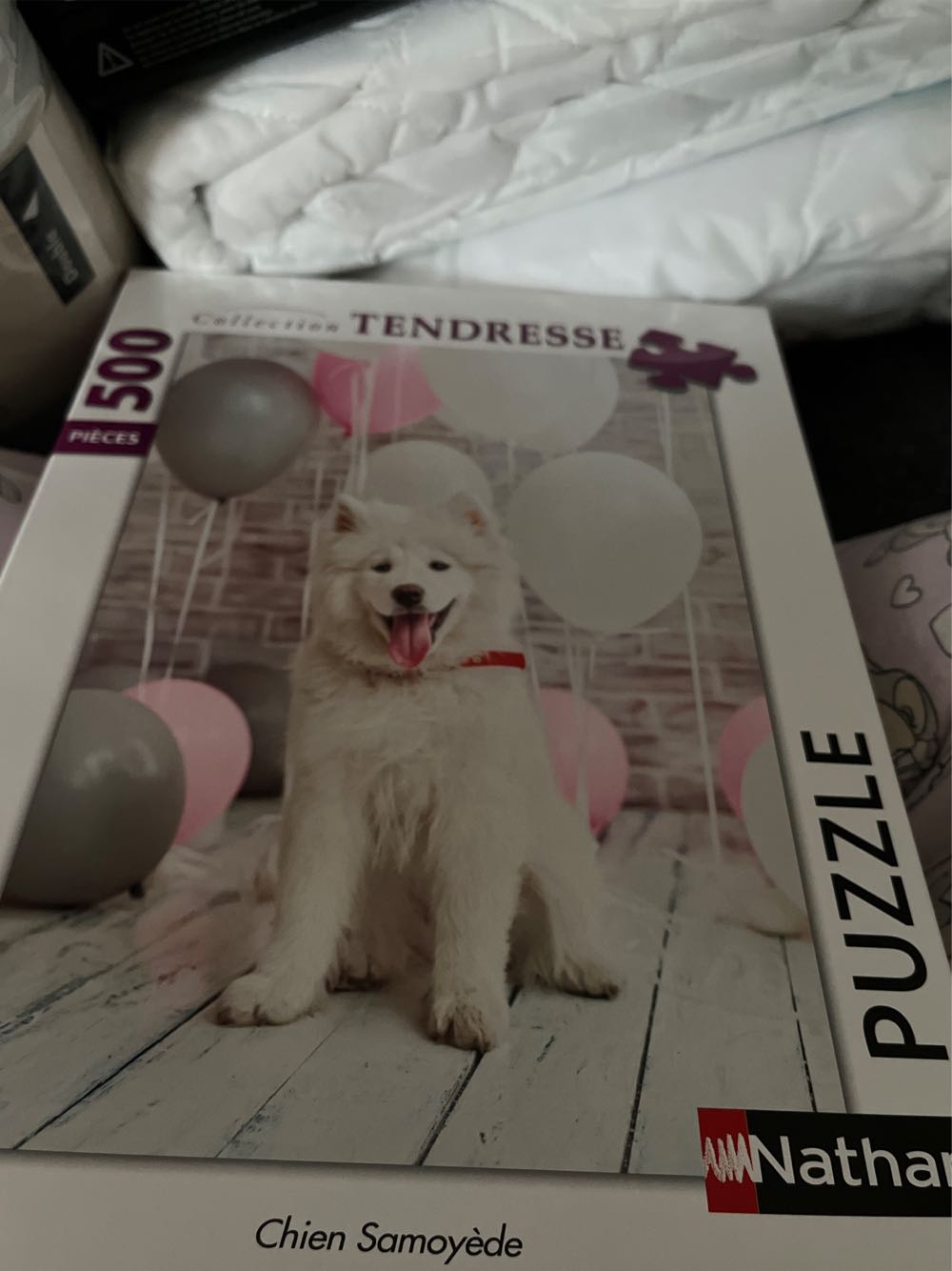 Noah’s Ark Floor 100 Pc