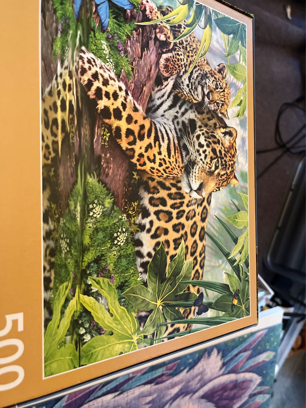 Water Lily  🆕🚪