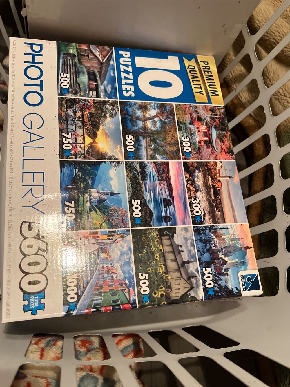 SB Reflected Majesty