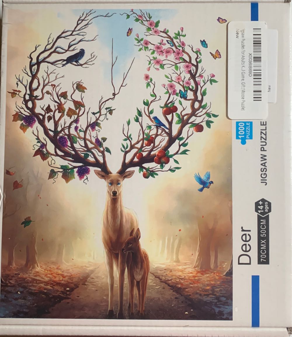 Aimee Stewart: Blanket Fort 1979