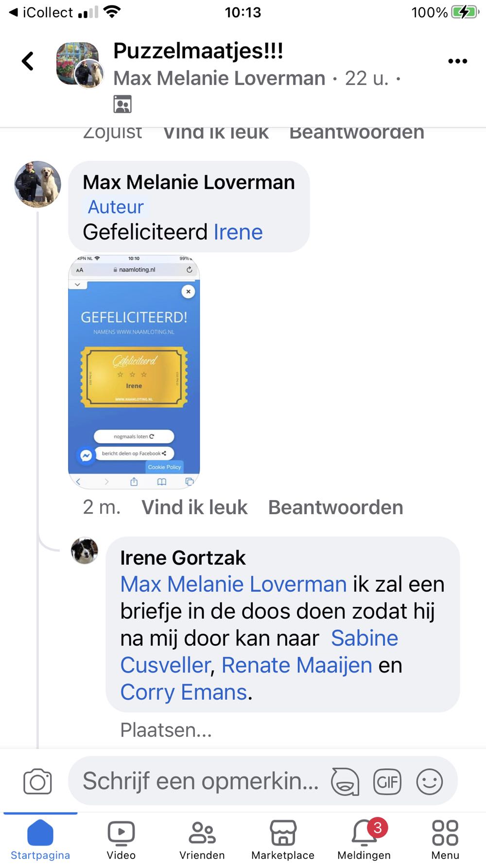 Cats At Large Washington Green  (Briefje PM) - WHSMITH puzzle collectible [Barcode 30873063] - Main Image 4