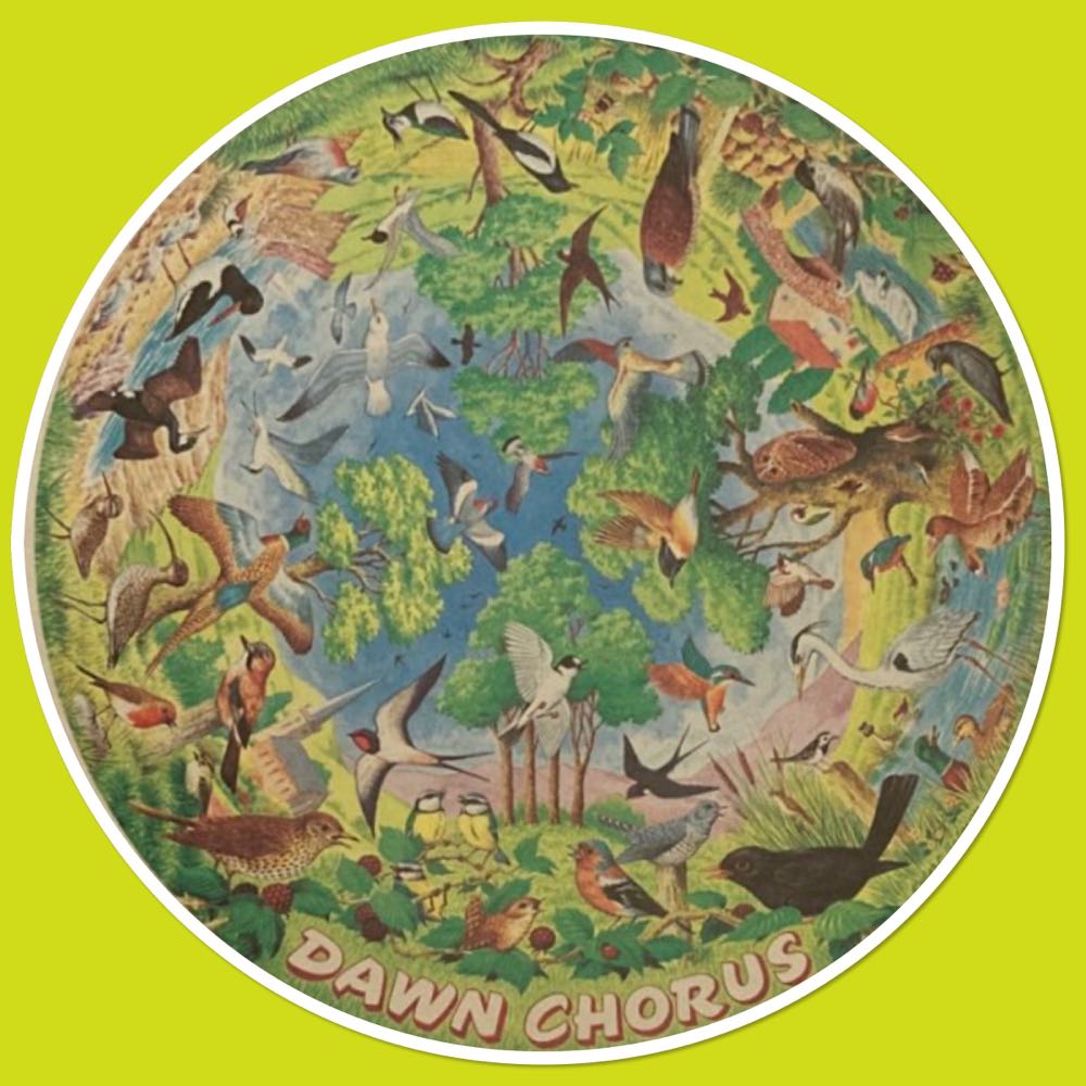 Dawn Chorus  🔴 - Circular Puzzle puzzle collectible [Barcode 5015796001273] - Main Image 2