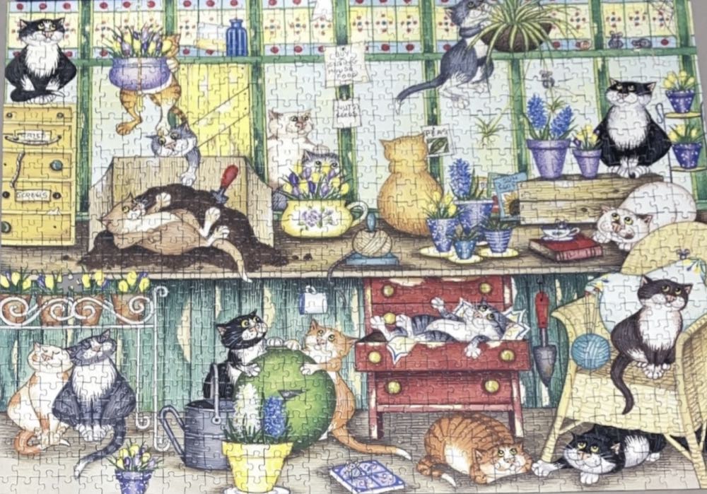 Crazy Cats In The Conservatory - FX Schmid puzzle collectible [Barcode 4050368042057] - Main Image 3