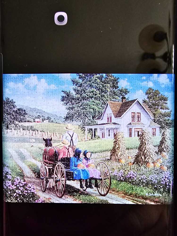 A Perfect Pair - Bits And Pieces puzzle collectible [Barcode 704812109189] - Main Image 2