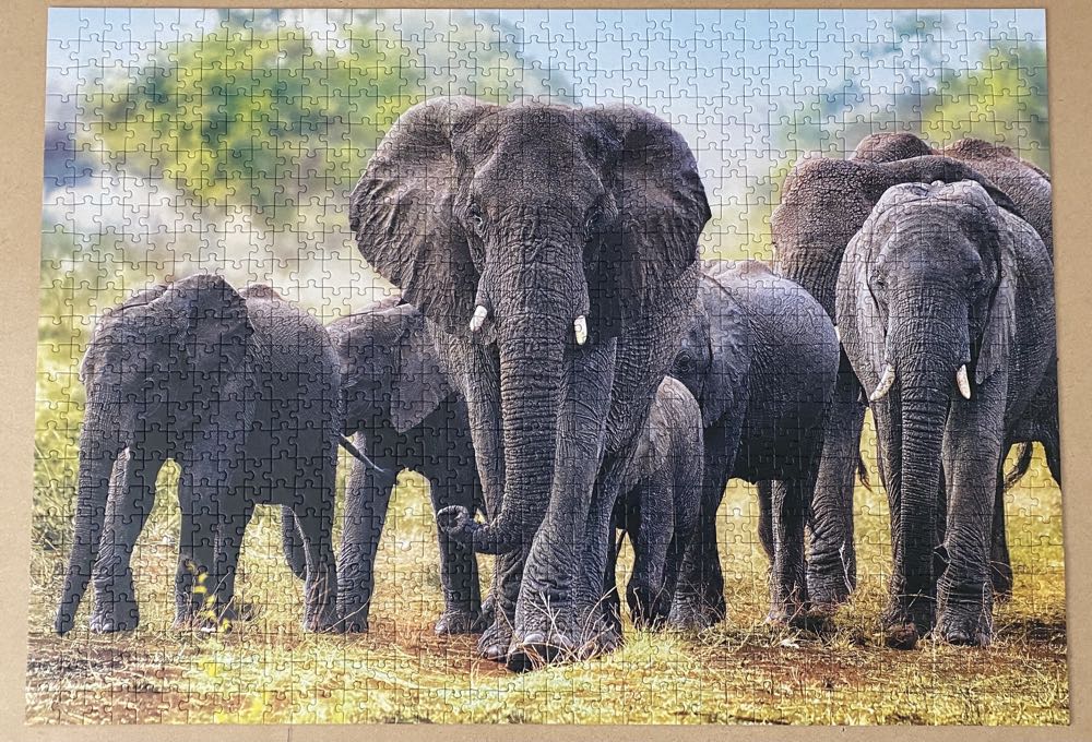 Elephants  - Trefl puzzle collectible - Main Image 2