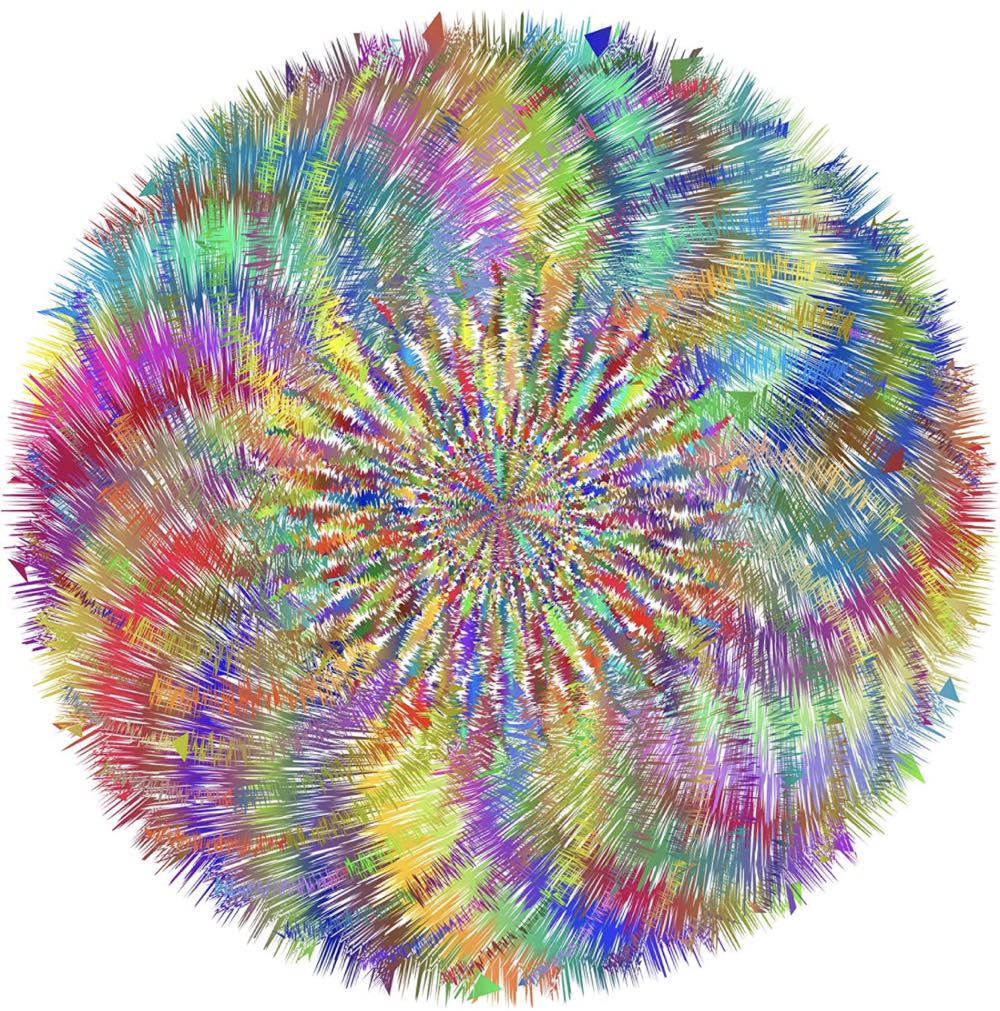 Geometric Herb Garden