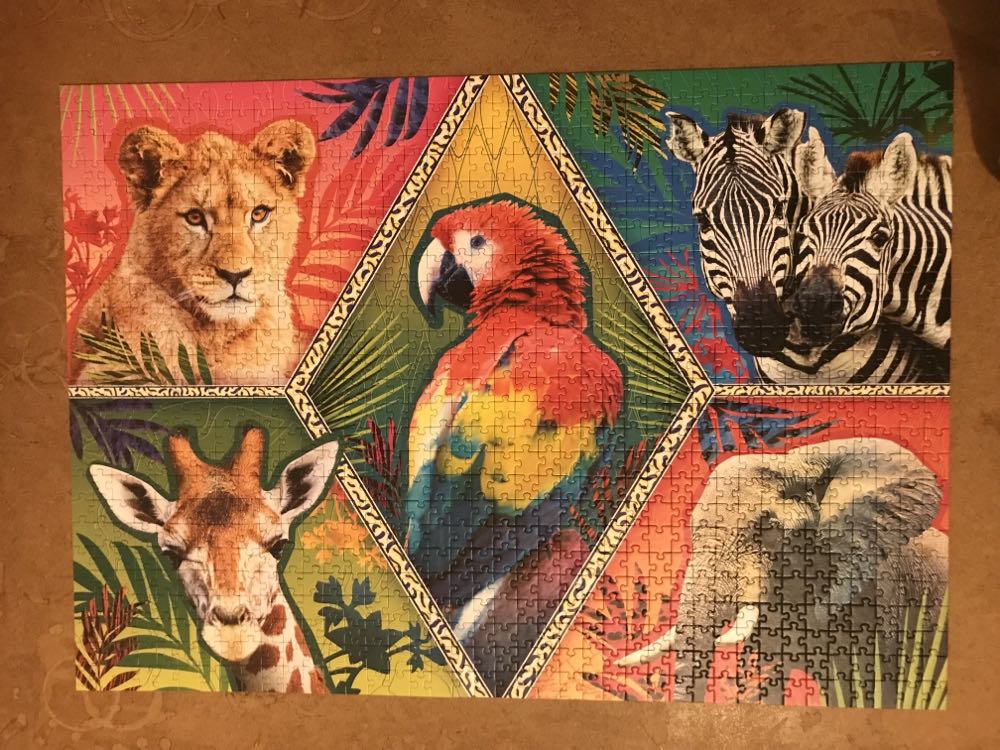Exotic Animals - Trefl puzzle collectible [Barcode 5900511106718] - Main Image 2