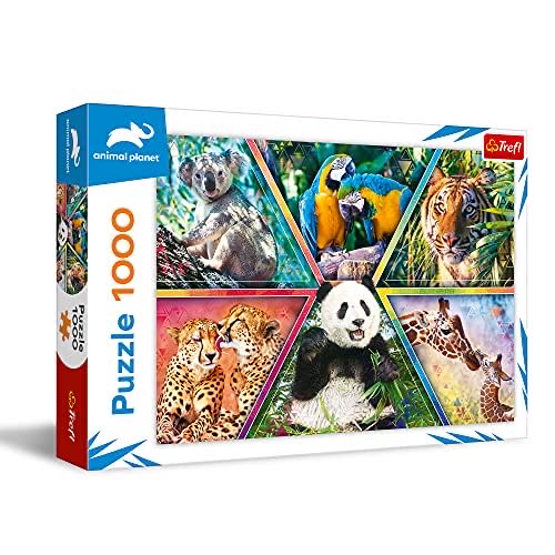 Postcard From Scotland 2