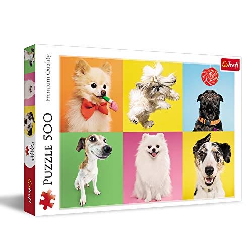 Crazy Animals Silly Animals Panda Llama Sloth Flamingo