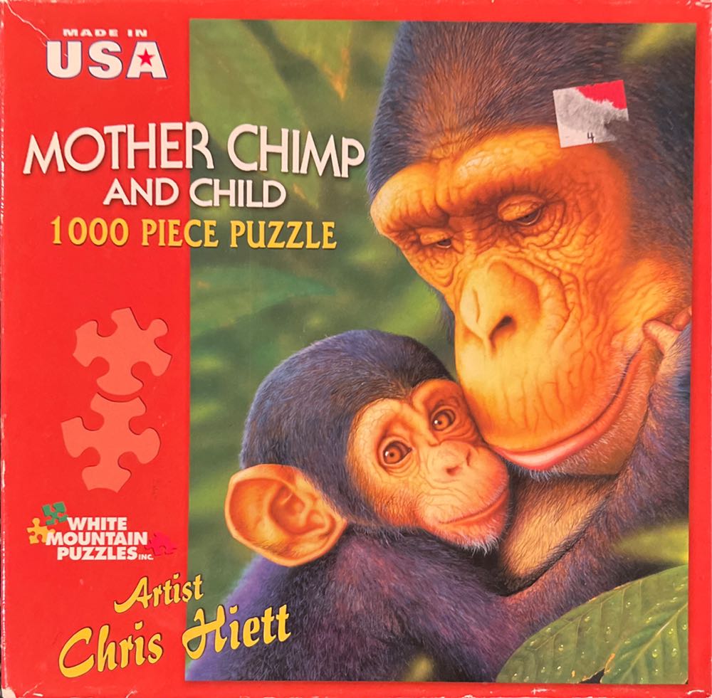 Meijer: Venice Canal, Italy