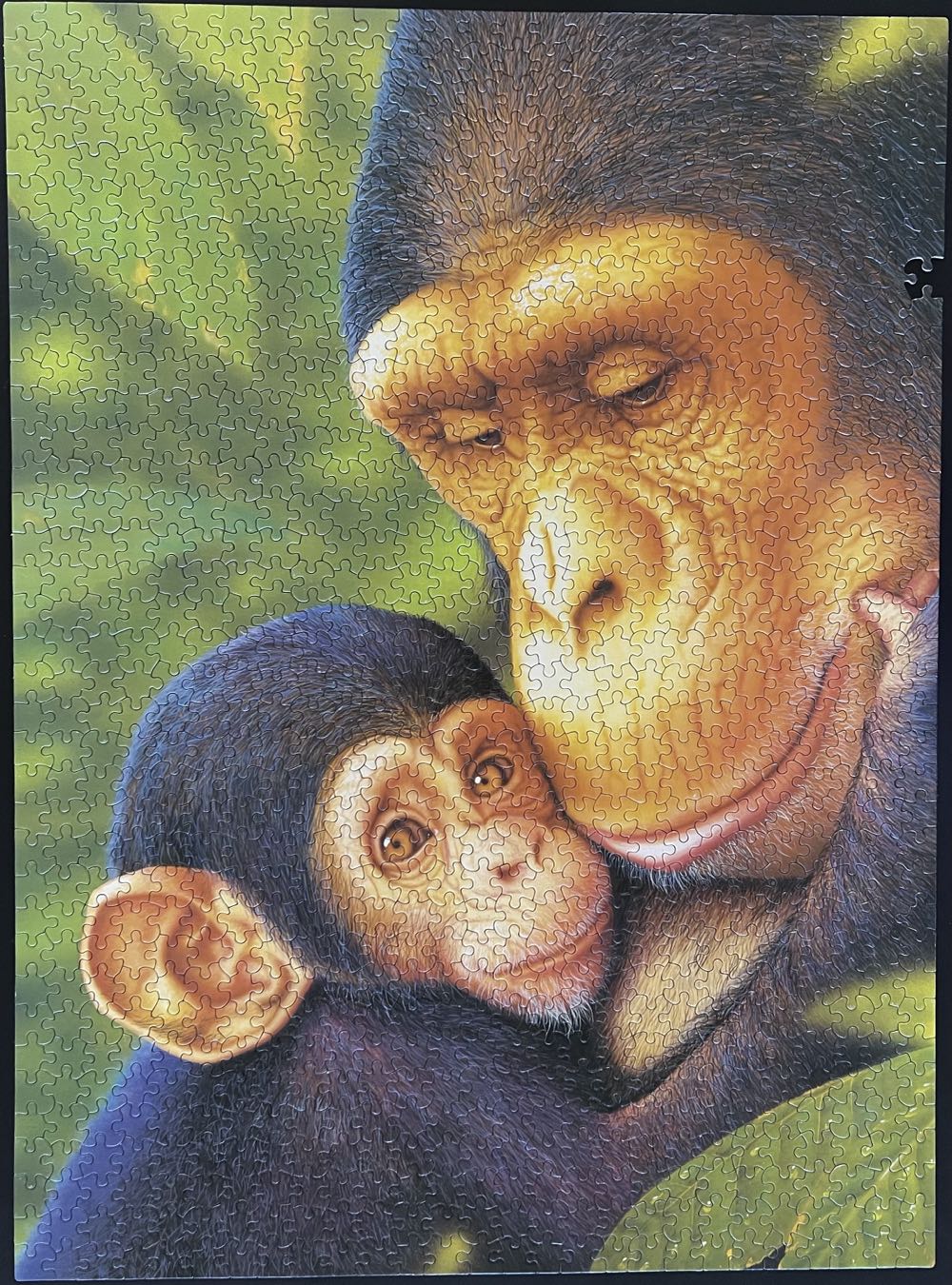 Mother Chimp And Child - White Mountain puzzle collectible [Barcode 724819251148] - Main Image 2