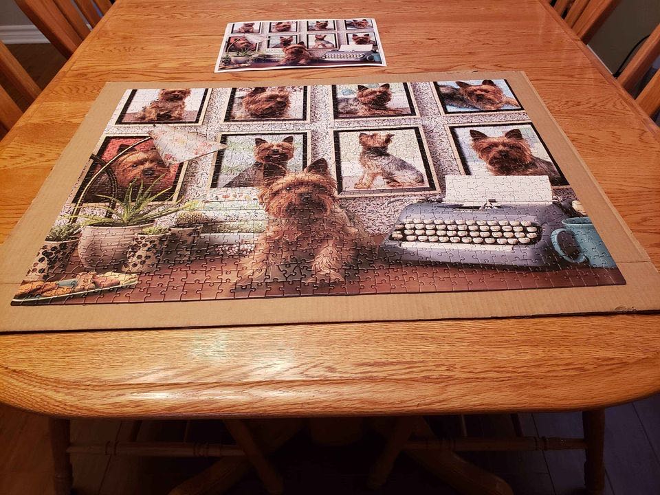 Yorkies Are My Type - Cobble Hill puzzle collectible [Barcode 625012800389] - Main Image 2