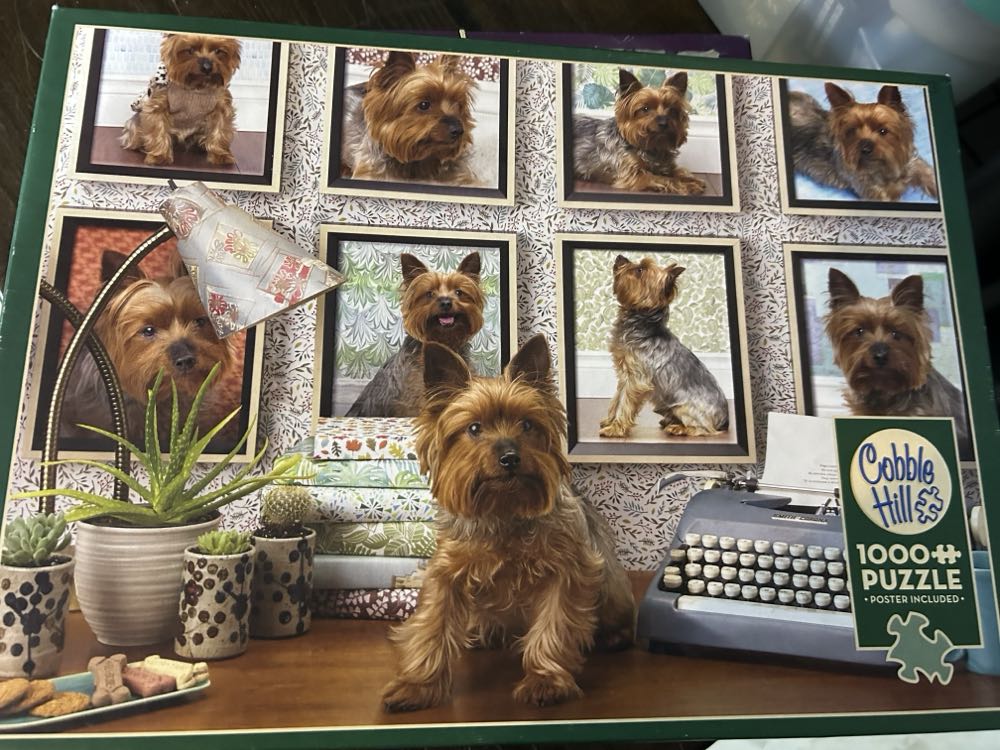 Yorkies Are My Type - Cobble Hill puzzle collectible [Barcode 625012800389] - Main Image 4