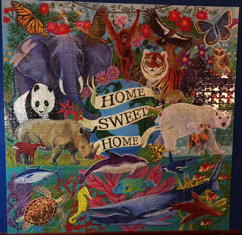 Planet Earth: Home Sweet Home - Eeboo puzzle collectible - Main Image 2