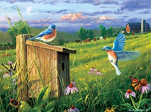 Pokemon Galar Friends**