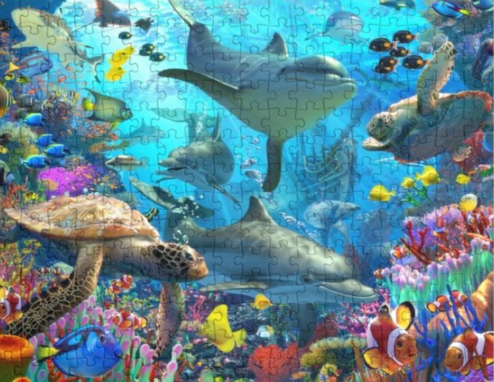 Dolphin’s Playground - FX Schmid puzzle collectible [Barcode 4050368081575] - Main Image 2