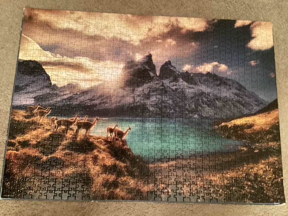 Heye: Guanacos - HEYE puzzle collectible [Barcode 4001689298159] - Main Image 2