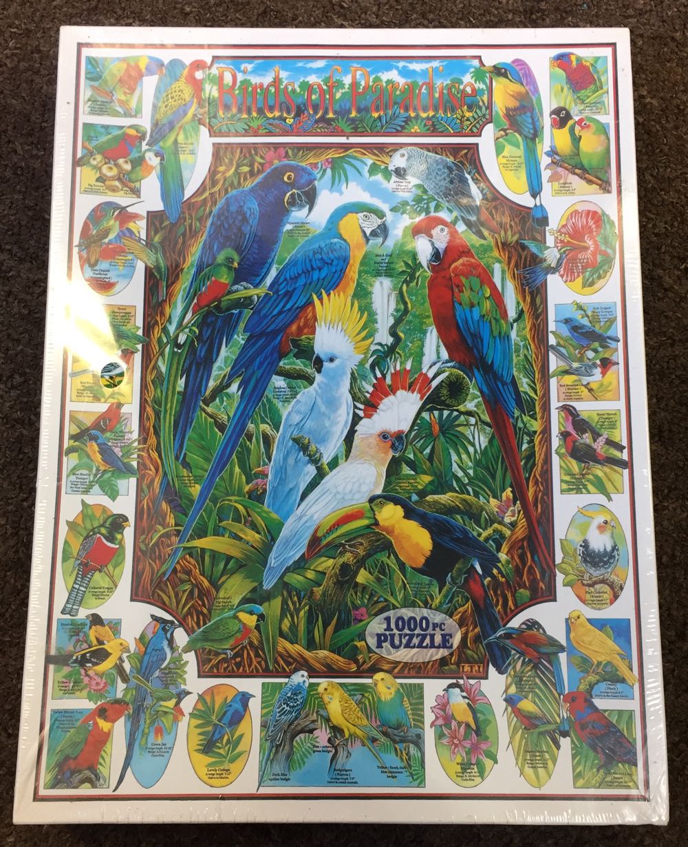 White Mountain Central