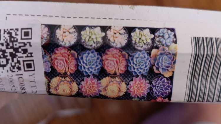 Nightmare Before Christmas