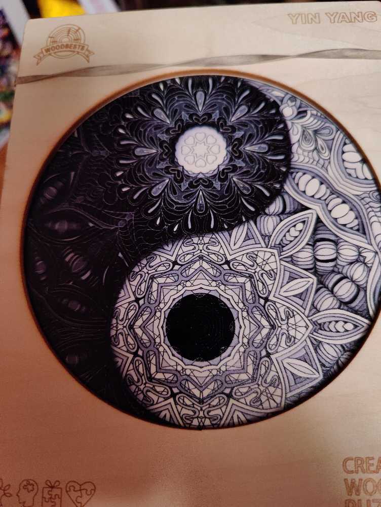 Traffic Chaos & By Air Land and Sea Saskia Lenen