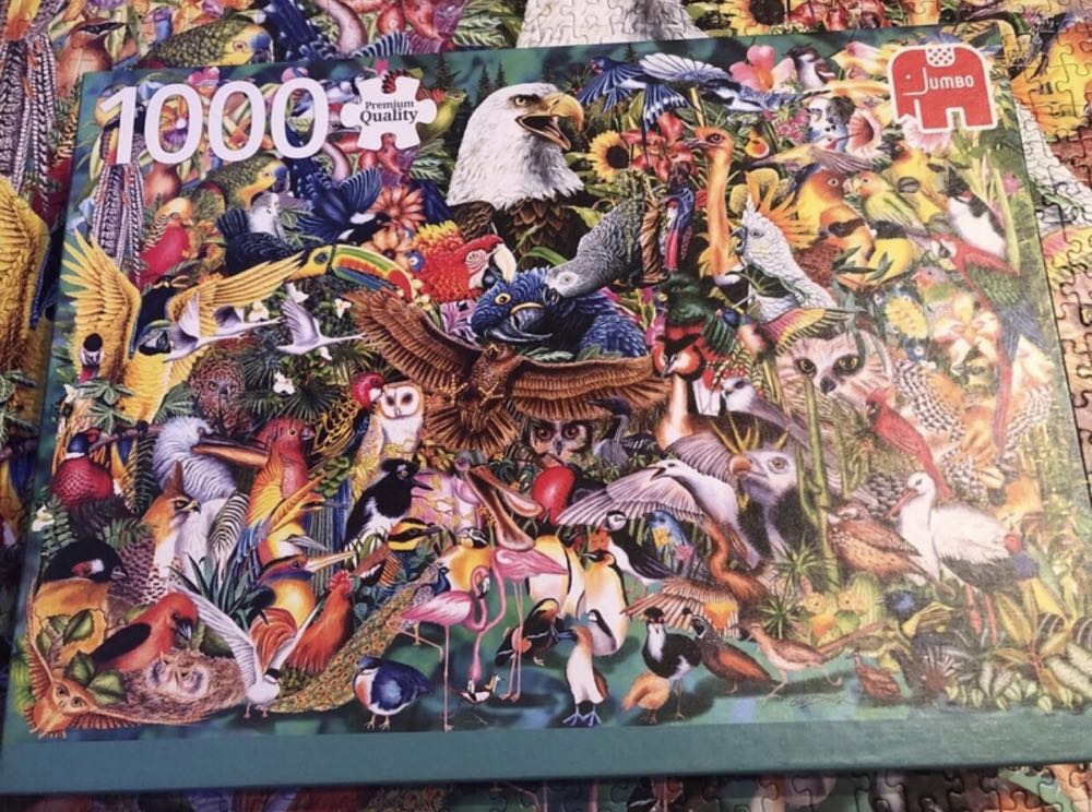 Animal Kingdom - Jumbo puzzle collectible [Barcode 8710126185681] - Main Image 4