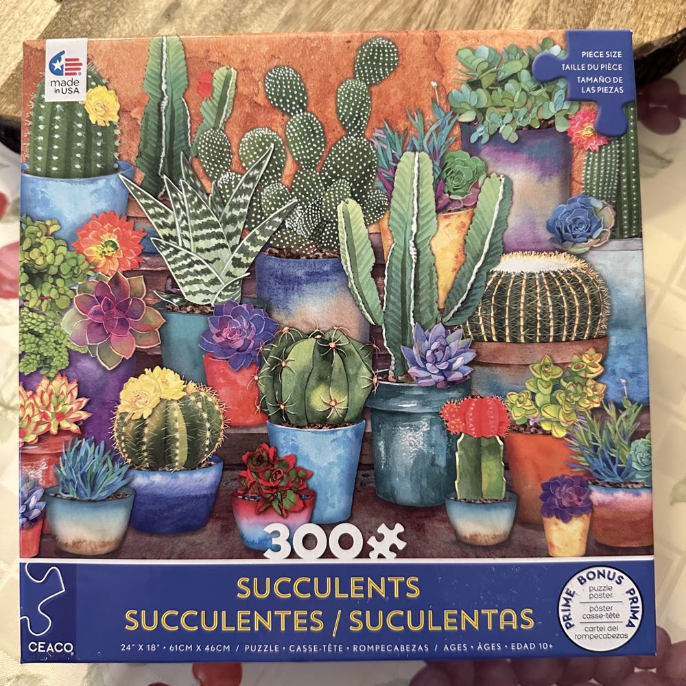 Succulents Cactus Pots - Ceaco puzzle collectible [Barcode 021081222792] - Main Image 3