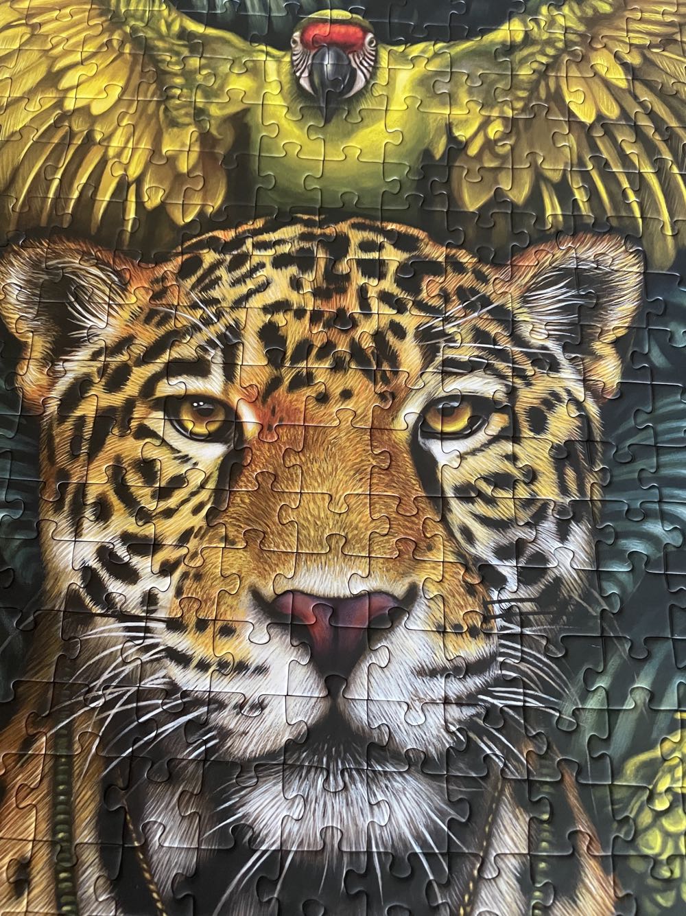 Legend Of The Jaguar Shaman - Art & Fable puzzle collectible [Barcode 850006234462] - Main Image 3