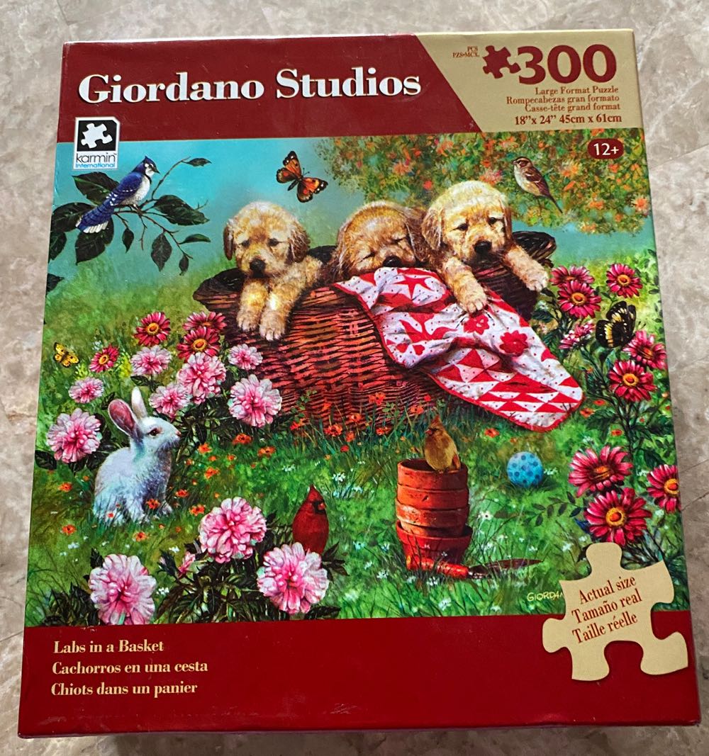 Aladdin Story Stained Art Clear Jigsaw Puzzle 500piece Jigsaw Puzzle