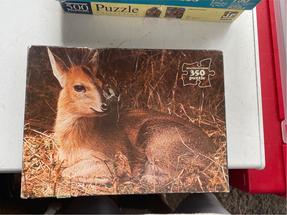 Peaceful, Easy Evening