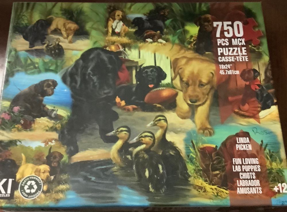 Purr-ceptive Detective