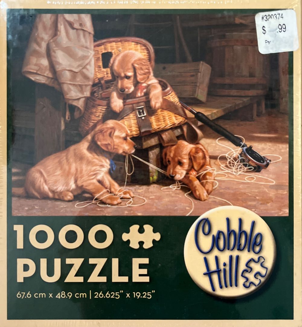 New Super Mario Bros Wii