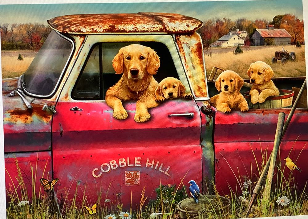 Art Gallery - Flower Shop