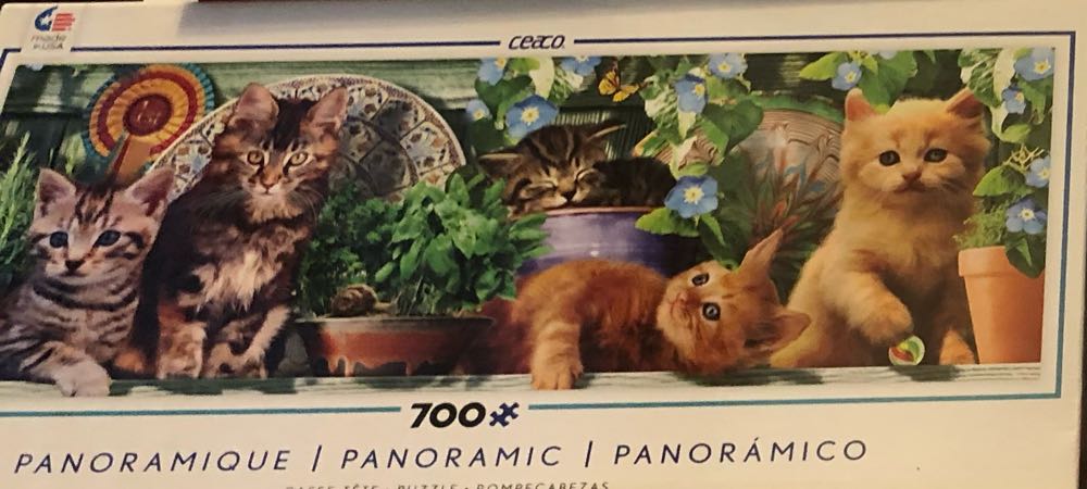 Cuckoo Clock Birdhouse ❤️