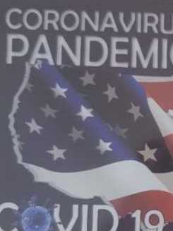 Coronavirus Pandemic  puzzle collectible - Main Image 1